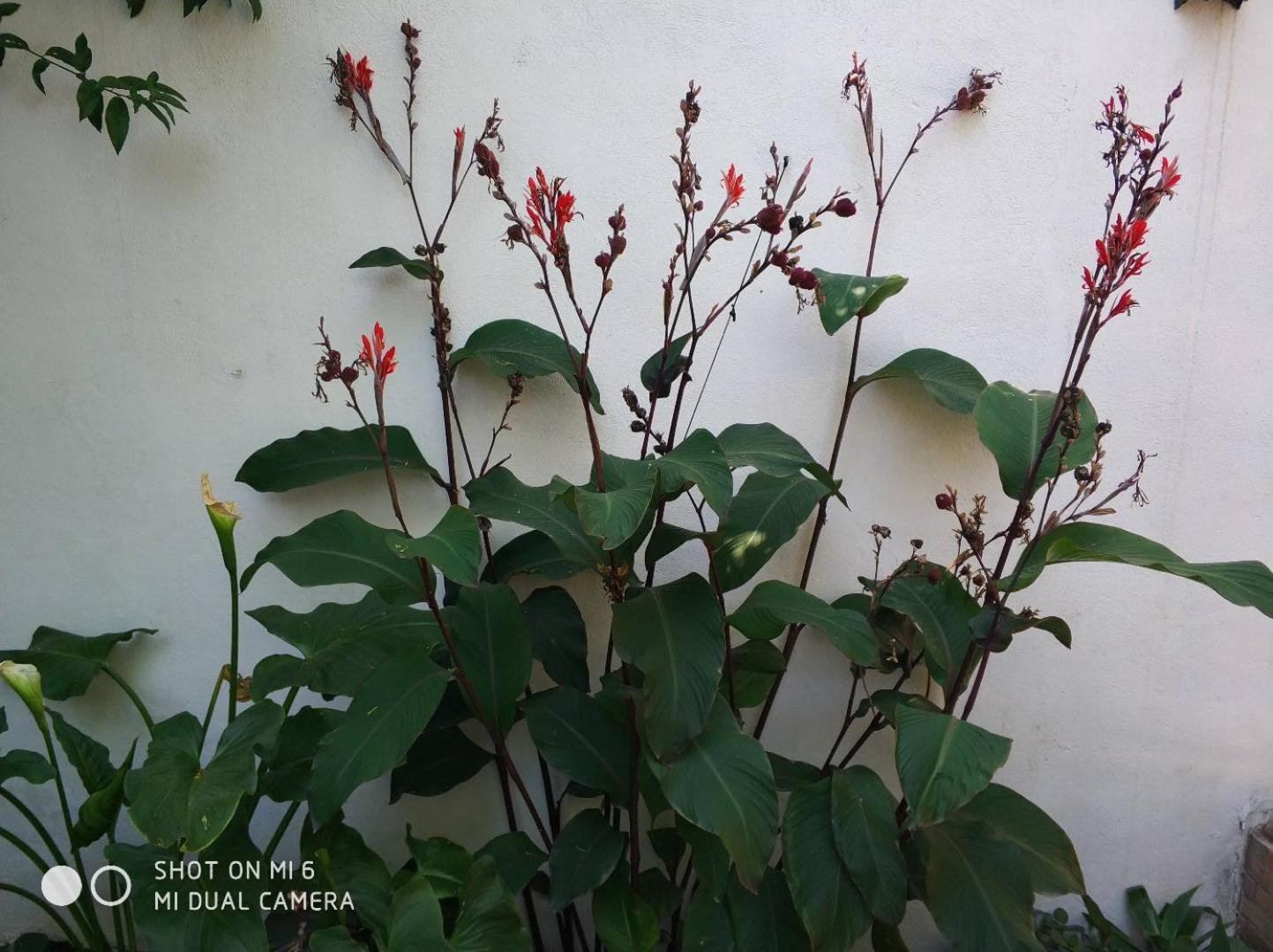 Apartment Alacas Sevilla 외부 사진