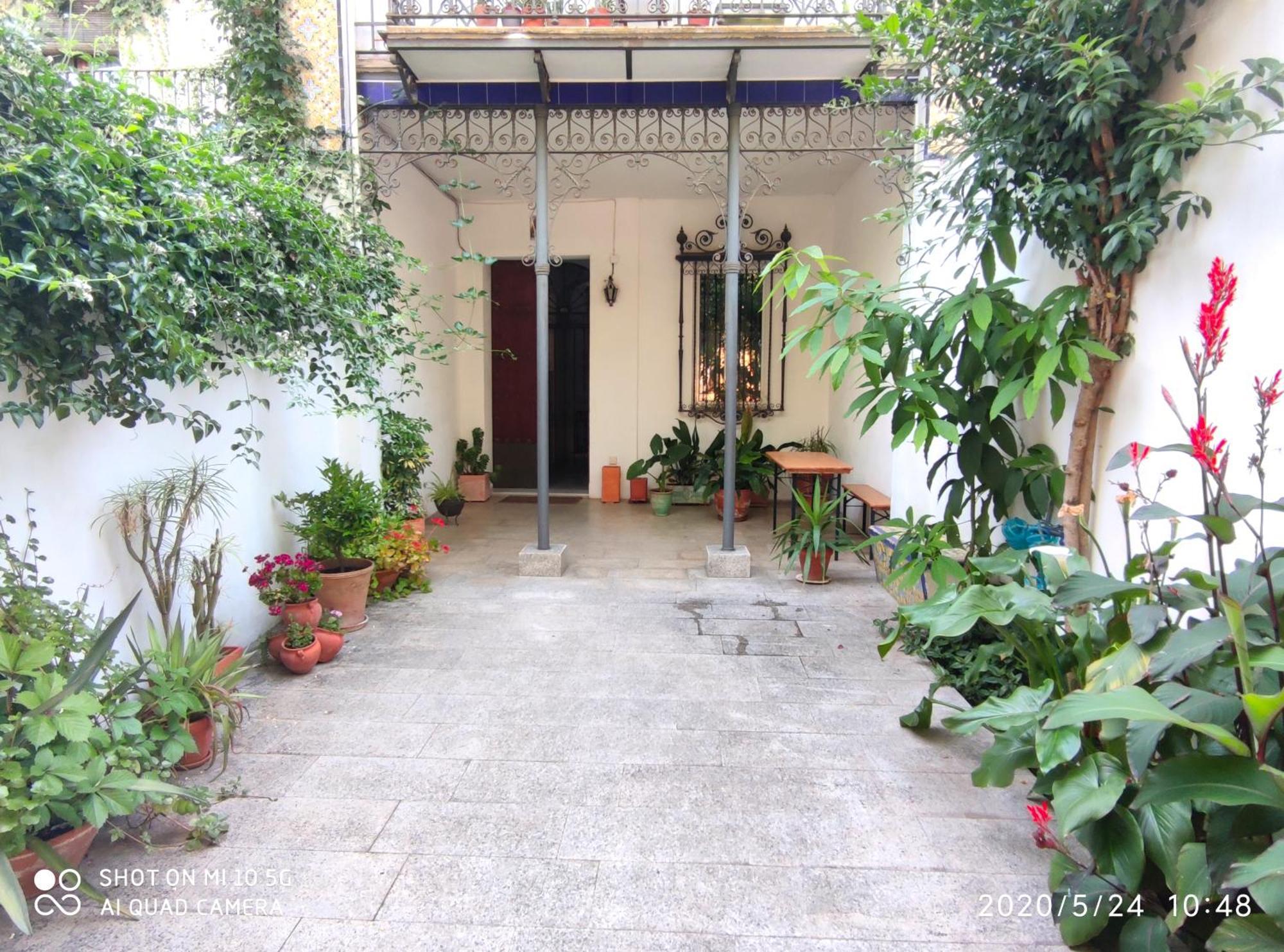 Apartment Alacas Sevilla 외부 사진